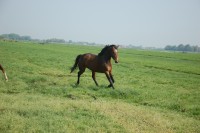 /album/fotogallerij/dsc-1685-jpg/